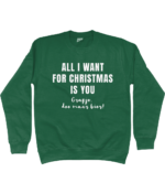 All I Want For Christmas Is You (grapje doe maar bier) | Sweater – Groen - Image 2